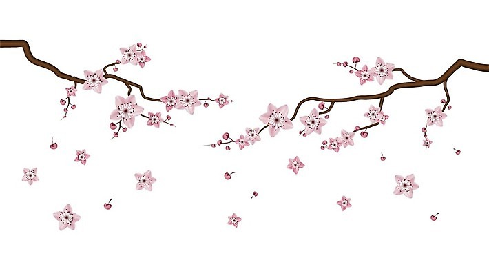EPS 해외이미지 나무 디자인 계절 꽃잎 꽃 분홍색 결혼 백그라운드 꽃무늬 일러스트 자연 벽지 장식 빛 장미 정원 일본 봄 벚꽃 흰색 나뭇가지 신용카드 개화 체리 떨어짐 4월 부드러움 고립 해외일러스트 식물 아시아 컬러 컨셉 무늬 과일 이벤트 금융 감각 날짜 생태계 파일형식 벡터 이미지허브