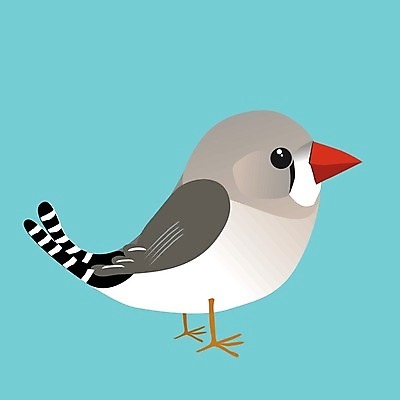 EPS 해외이미지 동물 디자인 여자 야생동물 백그라운드 겨울 날개 일러스트 자연 조류 오리 미술 그래픽 빨간색 반려동물 컬러풀 갈색 검은색 흰색 나뭇가지 작음 만화 깃털 비둘기 부리 내추럴 고립 동물상 해외일러스트 나무 계절 컬러 문화예술 사람 조형물 크기 생태계 파일형식 벡터 이미지허브