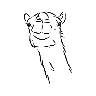 EPS 해외이미지 동물 캐릭터 손 디자인 배너 얼굴 야생동물 모래 여행 일러스트 포유류 아프리카 자연 벽지 이집트 미술 그래픽 머리 검은색 사막 흰색 시원함 만화 스케치 속눈썹 사파리 묘사 그림 복고 낙타 판화 혹 사하라 고립 단봉낙타 아랍어 혼자 해외일러스트 일러캐릭터 나라 컬러 문화예술 신체부위 눈썹 생태계 파일형식 벡터 이미지허브