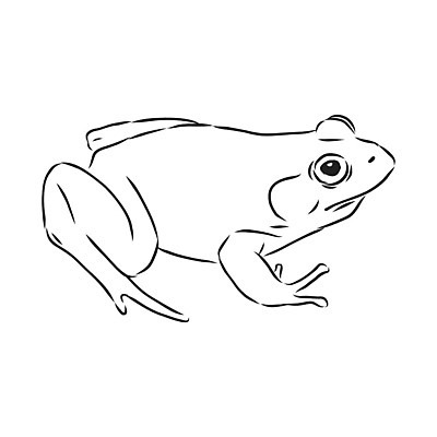 EPS 해외이미지 클립아트 동물 디자인 응시 유럽 얼굴 야생동물 선 백그라운드 패턴 일러스트 발 자연 개구리 양서류 미술 그래픽 장식 픽토그램 수확 숲 인쇄 만화 스케치 오브젝트 그림 윤곽 두꺼비 부족 내추럴 고립 엘리먼트 이국적 타격 스타일 해외일러스트 시선 나라 컨셉 무늬 농업 모션 문화예술 신체부위 생태계 파일형식 벡터 이미지허브