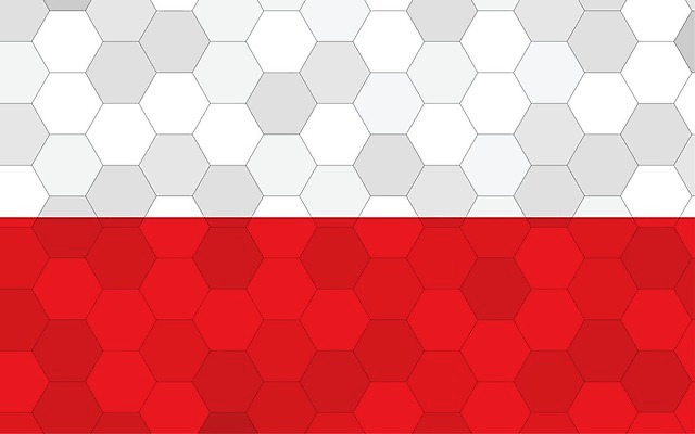 EPS 해외이미지 디자인 배너 문화 여행 백그라운드 일러스트 추상 미래 그래픽 깃발 심볼 사인 그림 광택 육각형 직사각형 폴란드 애국심 벌집 고립 독립 전국 해외일러스트 도형 유럽 컨셉 무늬 파일형식 벡터 이미지허브