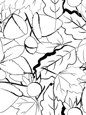 EPS 해외이미지 계절 열매 포스터 백그라운드 단풍 잎 일러스트 검은색 머그컵 가을 낙서 그림 도토리 해외일러스트 식물 컬러 컵 견과류 파일형식 벡터 이미지허브