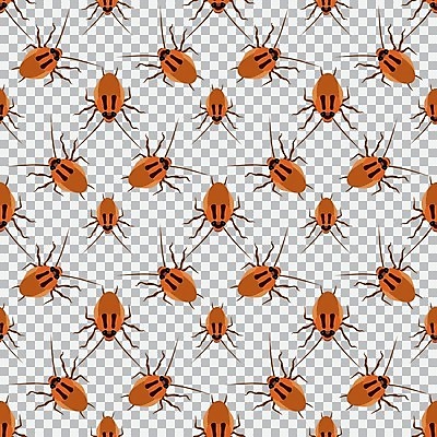 EPS 해외이미지 동물 디자인 곤충 백그라운드 신체 날개 일러스트 가족 안테나 건강 종류 미술 반려동물 갈색 머리 흰색 도시 닫기 해충 벌레 지저분함 만화 딱정벌레 속도 생물학 먼지 리빙 고립 위생관리 제어 해외일러스트 교육 컬러 통신 관계 모션 문화예술 관리 신체부위 감각 파일형식 벡터 이미지허브