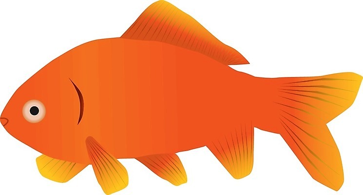 EPS 해외이미지 동물 음식 바다 오렌지 일러스트 낚시 어류 장식 물 반려동물 강 수중 수영 연못 행운 사발 재산 황금 벌레 먹이 심볼 육식동물 수족관 해외일러스트 자연요소 곤충 컨셉 과일 레저 금융 수중동물 수상스포츠 사기그릇 파일형식 벡터 이미지허브