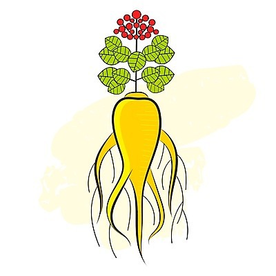 EPS 해외이미지 식물 전통 라이프스타일 디자인 꽃 음식 백그라운드 잎 꽃무늬 일러스트 재료 자연 추상 건강 미술 동양인 빨간색 약 검은색 중국 에너지 수확 흰색 나뭇가지 약초 허브 심볼 사인 그림 유기농 복고 뿌리 판화 내추럴 고립 돌봄 해외일러스트 나무 웰빙 아시아 컬러 무늬 농업 의학 모션 문화예술 인종 생활 풀_식물 생태계 파일형식 벡터 이미지허브