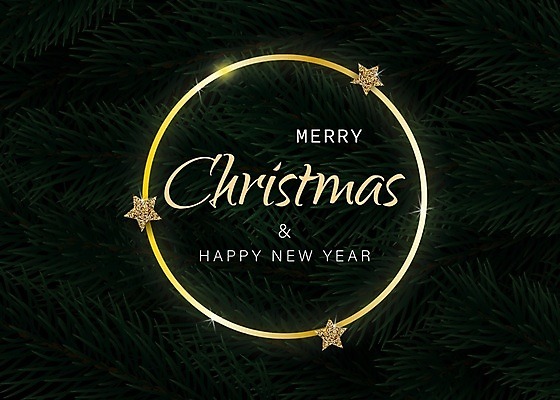 EPS 해외이미지 나무 식물 템플릿 디자인 배너 포스터 백그라운드 크리스마스 겨울 패턴 일러스트 공 자연 휴가 새로움 새해 프레임 장식 초록색 빛 파티 금속 화환 흰색 나뭇가지 축하 소나무 신용카드 화려 황금 고급 연도 꽃가루 상록수 침엽수 전나무 고립 삼나무 가문비나무 현실 해외일러스트 계절 기념일 꽃 컬러 컨셉 무늬 재질 이벤트 금융 가루 생태계 파일형식 벡터 이미지허브