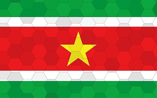 EPS 해외이미지 디자인 배너 별 문화 여행 백그라운드 일러스트 추상 미래 그래픽 빨간색 초록색 노란색 줄무늬 손상 흰색 깃발 심볼 사인 그림 육각형 직사각형 애국심 벌집 고립 독립 전국 해외일러스트 자연요소 도형 컬러 컨셉 무늬 파일형식 벡터 이미지허브