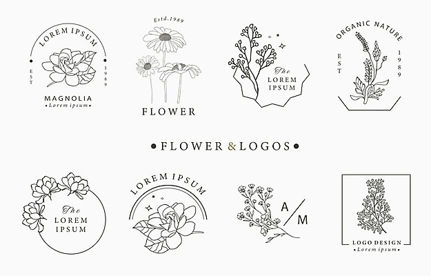 EPS 해외이미지 꽃 잎 라인일러스트 일러스트 사람없음 사각형 원형 분위기 데이지 감성 라벤더 잎줄기 해외일러스트 도형 식물 줄기 컨셉 허브 파일형식 벡터 이미지허브