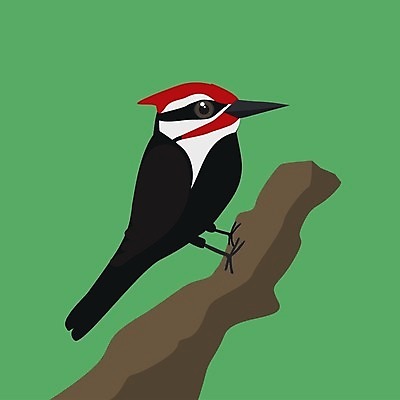 EPS 해외이미지 나무 동물 야생동물 백그라운드 날개 일러스트 자연 조류 빨간색 컬러풀 환경 검은색 흰색 나뭇가지 깃털 부리 고립 동물상 해외일러스트 식물 컬러 조형물 생태계 파일형식 벡터 이미지허브