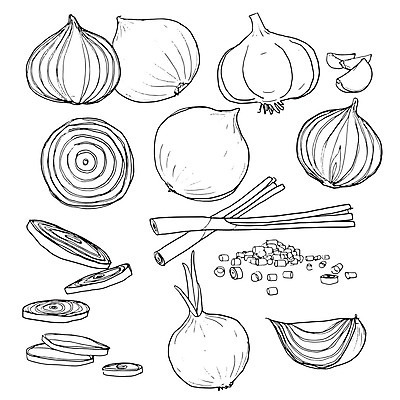 EPS 해외이미지 식물 손 음식 잎 농업 다이어트 채소 일러스트 재료 자연 양파 건강 마늘 그림자 요리 빨간색 초록색 농작물 농장 노란색 정원 봄 샐러드 수확 흰색 신선 달콤 맛 자르기 피부 향신료 오브젝트 그림 유기농 날것 뿌리 내추럴 고립 숙성 채식주의자 현실 해외일러스트 웰빙 계절 산업 컬러 컨셉 모션 신체부위 생태계 채식 향미료 파일형식 벡터 이미지허브