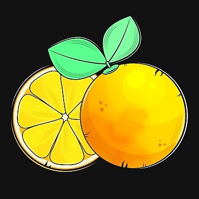 EPS 해외이미지 오렌지 일러스트 사람없음 검은색 주황색 해외일러스트 컬러 과일 파일형식 벡터 이미지허브