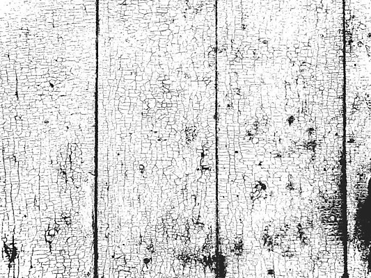 EPS 해외이미지 나무 디자인 선 벽 백그라운드 패턴 일러스트 자연 벽지 탁자 표면 날씨 추상 바닥 목재 장식 울타리 검은색 고통 수확 흰색 시골 판넬 거친 널 낟알 고민 질감 복고 덮기 잡동사니 내추럴 그런지 수목 엘리먼트 옛날 해외일러스트 식물 감정 컬러 가구 무늬 농업 재료 모션 담장 생태계 파일형식 벡터 이미지허브