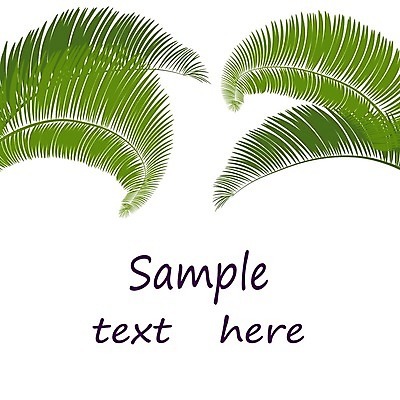 EPS 해외이미지 나무 식물 디자인 계절 꽃 파도 줄기 섬 백그라운드 잎 일러스트 자연 추상 휴가 손바닥 야외 초록색 여름 세트 야자수 활발 성장 벚꽃 나뭇가지 그룹 우아함 숲 작음 수집 허브 심볼 오브젝트 싱글 내추럴 이국적 해외일러스트 손 바다 컬러 컨셉 무늬 크기 생태계 파일형식 벡터 이미지허브