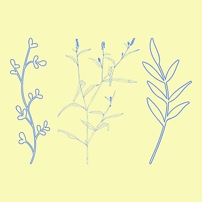 EPS 해외이미지 클립아트 식물 손 배너 꽃잎 꽃 실루엣 선 백그라운드 잎 꽃무늬 일러스트 자연 잉크 미술 그래픽 장식 세트 펜 정원 봄 우아함 숲 만화 스케치 허브 그림 유기농 윤곽 손그림 고립 그리너리 해외일러스트 웰빙 계절 컨셉 무늬 문화예술 촬영기법 신체부위 필기구 생태계 파일형식 벡터 트랜드컬러 이미지허브