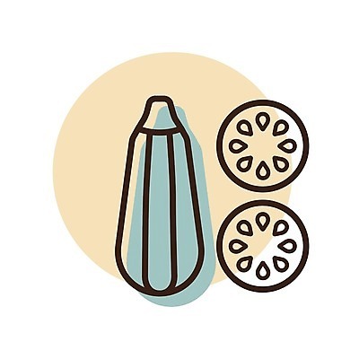 EPS 해외이미지 식물 디자인 음식 농업 다이어트 채소 일러스트 자연 건강 초록색 여름 정원 수확 신선 자르기 사인 날것 스쿼시 내추럴 고립 숙성 주키니 채식주의자 비건 해외일러스트 계절 산업 스포츠 컬러 모션 구기 생태계 채식 파일형식 벡터 이미지허브