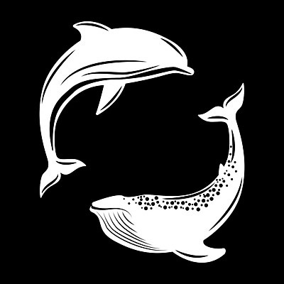 EPS 해외이미지 두마리 일러스트 사람없음 검은색 흰색 고래 돌고래 해외일러스트 컬러 2 포유류 수중동물 파일형식 벡터 이미지허브