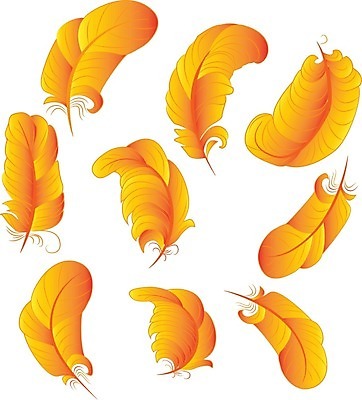 EPS 해외이미지 실루엣 백그라운드 컨셉 일러스트 경사 그래픽 장식 세트 검은색 흰색 황금 만화 심볼 깃털 오브젝트 마법 솜털 내추럴 고립 엘리먼트 해외일러스트 컬러 촬영기법 파일형식 벡터 이미지허브