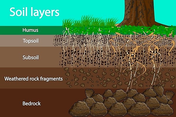 EPS 해외이미지 식물 교육 꽃 지구 모래 과학 십자가 농업 일러스트 부분 자연 날씨 풍경 그래픽 가로 환경 정원 흙 수확 바위 플랫 계획 유기농 원예 뿌리 먼지 문제 지하 층 내추럴 땅바닥 지질학 막 전경 해외일러스트 웰빙 산업 컨셉 바닥 취미 돌_바위 생태계 파일형식 벡터 탑뷰 이미지허브