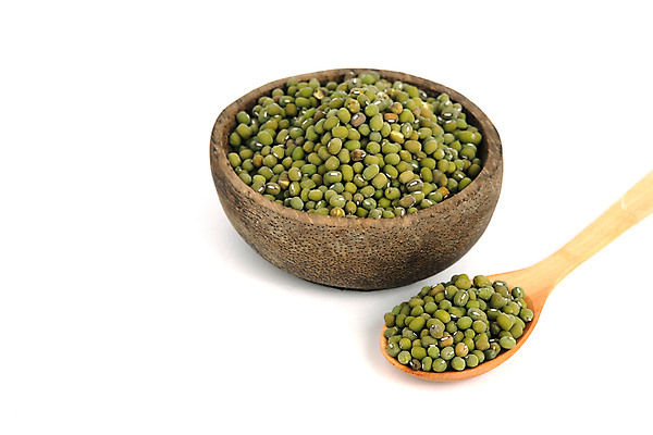 포토 JPG 해외이미지 식물 음식 백그라운드 다이어트 채소 재료 자연 콩 건조 건강 씨앗 사람없음 목재 빨간색 초록색 농작물 갈색 쌓기 숟가락 검은색 흰색 신선 그룹 사발 신장 낟알 먹기 오브젝트 국자 유기농 완두콩 날것 모음 흙더미 내추럴 고립 단백질 대두 생식 채식주의자 많음 해외포토 나무 웰빙 컬러 컨셉 농업 모션 주방용품 곡류 수저 한글 흙 사기그릇 비뇨기관 생태계 채식 영양소 파일형식 더미 이미지허브