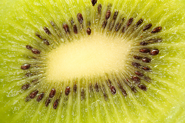 포토 JPG 해외이미지 식물 음식 조각 백그라운드 농업 다이어트 채소 과일 재료 부분 자연 디저트 건강 키위 씨앗 사람없음 초록색 갈색 주스 흰색 신선 닫기 달콤 맛 피부 상쾌 유기농 질감 날것 슬라이스 내추럴 고립 숙성 채식주의자 해외포토 웰빙 감정 산업 음료 컬러 컨셉 모션 신체부위 생태계 채식 파일형식 이미지허브