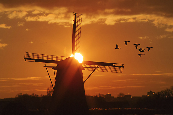 포토 JPG 해외이미지 구름 실루엣 여행 백그라운드 오렌지 비즈니스 건축양식 자연 하늘 안테나 풍경 사람없음 건물 파란색 태양 일출 환경 탑 힘 일몰 도시 네덜란드 스카이라인 철강 해외포토 자연요소 건축물 건축 유럽 컬러 과일 통신 촬영기법 노을 생태계 파일형식 이미지허브