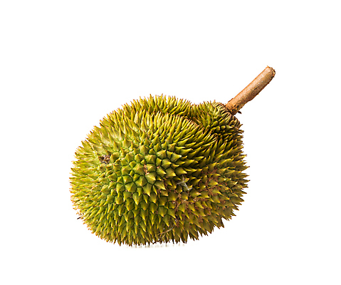 포토 JPG 해외이미지 나무 계절 음식 농업 다이어트 오렌지 과일 재료 부분 자연 디저트 건강 사람없음 초록색 노란색 신선 못 가시 달콤 맛 왕 먹기 유기농 날것 냄새 가죽끈 고립 숙성 영양소 이국적 해외포토 식물 웰빙 산업 컬러 컨셉 모션 공구 끈 가죽 생태계 파일형식 이미지허브