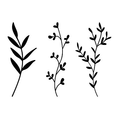 EPS 해외이미지 클립아트 식물 손 배너 꽃잎 꽃 실루엣 선 백그라운드 잎 꽃무늬 일러스트 자연 잉크 미술 그래픽 장식 여름 세트 펜 정원 검은색 봄 흰색 우아함 숲 만화 스케치 허브 그림 유기농 윤곽 손그림 고립 그리너리 해외일러스트 웰빙 계절 컬러 컨셉 무늬 문화예술 촬영기법 신체부위 필기구 생태계 파일형식 벡터 트랜드컬러 이미지허브