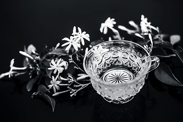 포토 JPG 해외이미지 식물 음료 음식 백그라운드 잎 자연 유리 탁자 아침 건강 사람없음 목재 컵 초록색 카페 머그컵 신선 뜨거움 도자기 액체 아침식사 약초 찻잔 인도인 허브 상쾌 유기농 아로마 해외포토 주간 외국인 나무 식기 웰빙 감정 컬러 가구 재료 재질 잔 동양인 상점 식사 풀_식물 생태계 파일형식 이미지허브