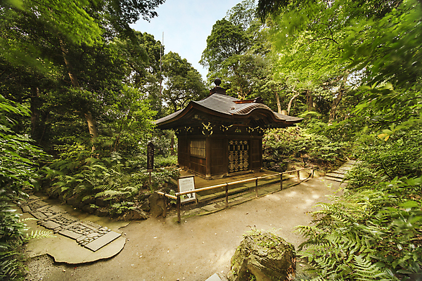 포토 JPG 해외이미지 주간 나무 구름 꽃 종교 호수 단풍 잎 불교 자연 하늘 아침 휴식 연꽃 풍경 사람없음 야외 건물 목재 초록색 물 파란색 반사 새싹 정원 일본 봄 조약돌 소나무 체리 영혼 도쿄 조경 화단 분재 웅장함 해외포토 자연요소 식물 건축물 계절 아시아 컬러 컨셉 과일 재료 돌_바위 생태계 파일형식 이미지허브