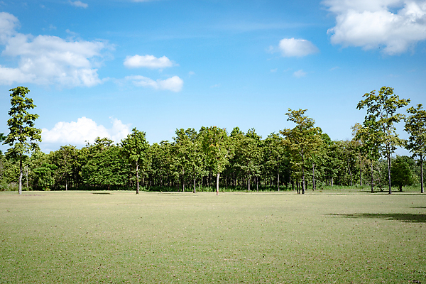 포토 JPG 해외이미지 나무 구름 라이프스타일 공원 스포츠 백그라운드 잎 밭 골프 자연 하늘 휴식 풍경 잔디 사람없음 야외 초록색 여름 파란색 햇빛 태양 환경 정원 맑음 봄 도시 숲 땅 묘사 일반 내추럴 해외포토 자연요소 식물 계절 공공시설 컬러 컨셉 농업 날씨 생활 구기 생태계 파일형식 이미지허브