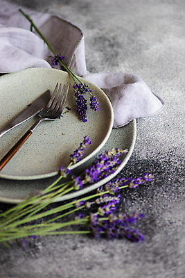 포토 JPG 해외이미지 접시 꽃 포크 실내 사람없음 소프트포커스 라벤더 해외포토 식물 식기 촬영기법 내부 허브 파일형식 이미지허브