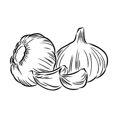 EPS 해외이미지 식물 디자인 음식 백그라운드 농업 채소 일러스트 재료 전구 자연 잉크 건강 마늘 요리 미술 검은색 수확 흰색 신선 양념 조미료 그룹 맛 스케치 먹기 허브 심볼 향신료 오브젝트 그림 유기농 매움 복고 날것 뿌리 내추럴 고립 숙성 채식주의자 해외일러스트 웰빙 산업 컬러 컨셉 모션 문화예술 생태계 채식 향미료 파일형식 벡터 이미지허브