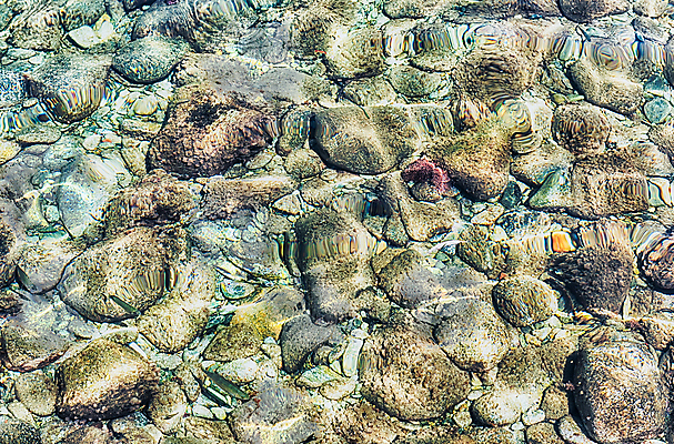 포토 JPG 해외이미지 모양 호수 벽 파도 바다 백그라운드 패턴 자연 벽지 조류 해변 사람없음 장식 물 여름 빛 강 수중 조약돌 바위 매끈함 작음 큼 땅 아래 질감 장면 암초 흙더미 땅바닥 해외포토 자연요소 동물 계절 무늬 바닥 흙 돌_바위 감각 크기 방향 생태계 위치 파일형식 더미 이미지허브