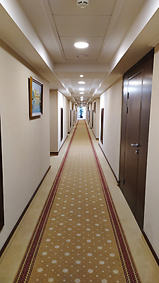 포토 JPG 해외이미지 디자인 벽 여행 건축양식 호텔 휴가 출입구 바닥 실내 사람없음 내부 건물 목재 빛 문 환경 카펫 방 저축 에너지 흰색 램프 복도 버리기 천장 리빙 여관 대칭 방법 많음 해외포토 나무 건축물 건축 컬러 컨셉 재료 모션 숙소 조명 금융 파일형식 이미지허브