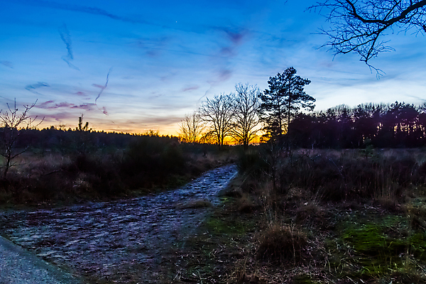 포토 JPG 해외이미지 나무 식물 구름 계절 도로 길 백그라운드 밭 오렌지 자연 하늘 풍경 사람없음 파란색 컬러풀 태양 걷기 일출 황혼 일몰 새벽 활발 시골 저녁 숲 네덜란드 장면 내추럴 강렬 방법 삼림지대 수평선 해외포토 자연요소 유럽 컬러 컨셉 농업 과일 교통시설 모션 노을 야간 생태계 파일형식 이미지허브