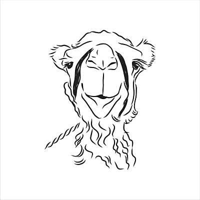 EPS 해외이미지 동물 캐릭터 손 디자인 배너 얼굴 야생동물 모래 여행 일러스트 포유류 아프리카 자연 벽지 이집트 미술 그래픽 머리 검은색 사막 흰색 시원함 만화 스케치 속눈썹 사파리 묘사 그림 복고 낙타 판화 혹 사하라 고립 단봉낙타 아랍어 혼자 해외일러스트 일러캐릭터 나라 컬러 문화예술 신체부위 눈썹 생태계 파일형식 벡터 이미지허브