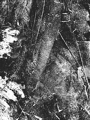 EPS 해외이미지 디자인 벽 백그라운드 패턴 일러스트 벽지 표면 추상 미술 건물 그래픽 장식 빛 우주 검은색 어둠 페인트 회색 수확 바위 흰색 도시 얼룩 거친 균열 가장자리 낟알 스케치 묘사 고민 질감 복고 시멘트 시들음 그런지 석고 옛날 콘크리트 타격 해외일러스트 건축물 감정 컬러 무늬 농업 모션 문화예술 돌_바위 둘레 파일형식 벡터 이미지허브