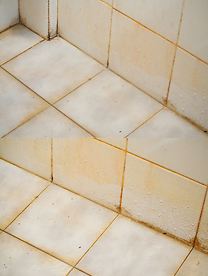 포토 JPG 해외이미지 벽 가사 주택 건강 사람없음 목욕 방 젖음 욕실 모서리 빨래 질병 미끄러짐 세제 타일 서비스 싱크대 부식 먼지 대야 박테리아 기생충 변기통 샤워실 위생관리 해외포토 의학 모션 관리 건물 청결 바이러스 개수대 샤워시설 파일형식 이미지허브