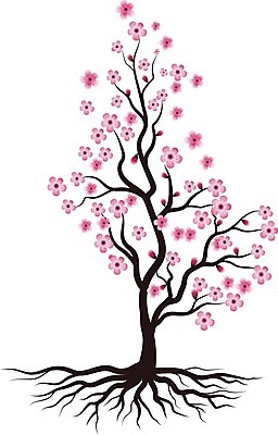 EPS 해외이미지 나무 식물 전통 디자인 배너 계절 여자 꽃잎 꽃 아시아 문화 분홍색 결혼 백그라운드 잎 꽃무늬 일러스트 자연 산 미술 동양인 장식 정원 일본 중국 일몰 봄 벚꽃 나뭇가지 축하 신용카드 개화 체리 심볼 동쪽 고립 이국적 해외일러스트 나라 컬러 컨셉 무늬 과일 문화예술 사람 인종 이벤트 금융 노을 방향 생태계 파일형식 벡터 이미지허브