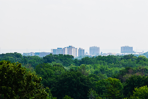 포토 JPG 해외이미지 나무 식물 계절 공원 낙엽 잎 건축양식 자연 하늘 풍경 사람없음 야외 건물 초록색 여름 도시풍경 환경 고층빌딩 블록 회색 안개 성장 흰색 신선 도시 숲 타운 스카이라인 교외 삼림지대 생태학 해외포토 건축물 공공시설 교육 건축 컬러 날씨 빌딩 생태계 파일형식 이미지허브