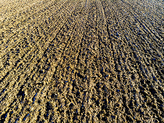 포토 JPG 해외이미지 계절 지구 선 백그라운드 패턴 밭 농업 자연 표면 추상 건조 안테나 사람없음 농작물 농장 농경지 갈색 환경 정원 어둠 흙 봄 시골 거친 정상 땅 묘사 준비 유기농 원예 질감 먼지 지역 진흙 내추럴 그런지 드론 땅바닥 밭일 세련 해외포토 웰빙 산업 컬러 무늬 통신 바닥 취미 생태계 파일형식 이미지허브
