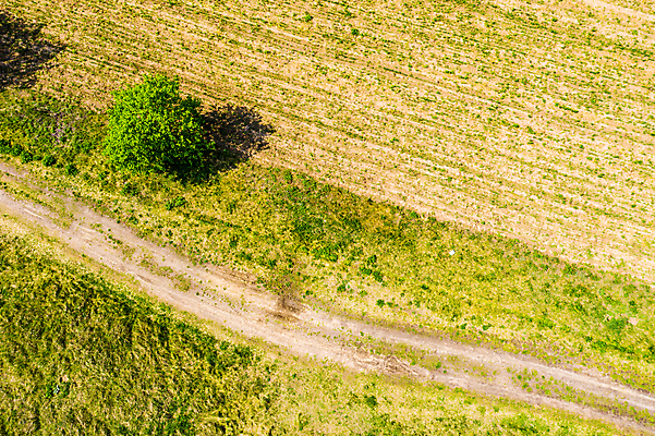 포토 JPG 해외이미지 나무 식물 계절 공원 도로 길 여행 백그라운드 잎 캐나다 패턴 밭 자연 하늘 거리 안테나 핀란드 풍경 사람없음 야외 목재 초록색 여름 빛 태양 맑음 시골 고속도로 정상 숲 아스팔트 전나무 내추럴 넘어짐 드론 가문비나무 해외포토 자연요소 공공시설 컬러 북아메리카 무늬 농업 재료 통신 교통시설 모션 날씨 북유럽 생태계 파일형식 이미지허브