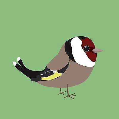 EPS 해외이미지 나무 동물 유럽 야생동물 날개 일러스트 조류 목재 컬러풀 계란 숲 깃털 부리 코믹 계산서 해외일러스트 식물 나라 컬러 재료 알 파일형식 벡터 이미지허브