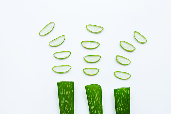 포토 JPG 해외이미지 스튜디오촬영 단면 실내 사람없음 하이앵글 흰배경 알로에 해외포토 식물 뷰포인트 백그라운드 내부 흰색 파일형식 이미지허브