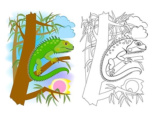 EPS 해외이미지 동물 행복 종이 야생동물 어린이 일러스트 학교 파충류 자연 흑백 동물원 미술 성인 책 초록색 반려동물 장난감 페인트 유치원 게임 아기 플랫 인쇄 만화 교과서 그림 도마뱀 윤곽 페이지 해외일러스트 교육 감정 컬러 놀이 문화예술 교재 촬영기법 사람 생태계 파일형식 벡터 이미지허브