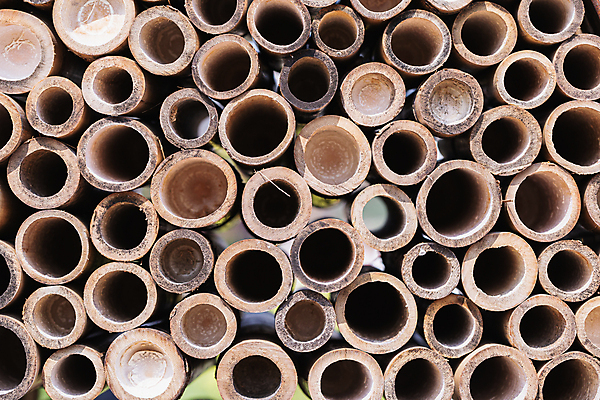 포토 JPG 해외이미지 전통 디자인 벽 백그라운드 십자가 패턴 자연 벽지 표면 추상 미술 사람없음 장식 갈색 바구니 매트 수확 골동품 흰색 시골 직물 뜨개질 클래식 대나무 유기농 질감 복고 망사 짜임 수공예 내추럴 짜기 핸드메이드 스타일 해외포토 나무 웰빙 컬러 컨셉 무늬 농업 모션 문화예술 취미 공예 생태계 파일형식 이미지허브