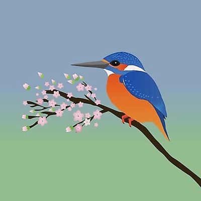 EPS 해외이미지 나무 동물 꽃 야생동물 백그라운드 날개 오렌지 일러스트 자연 조류 휴식 앉기 빨간색 초록색 파란색 컬러풀 봄 벚꽃 흰색 나뭇가지 작음 깃털 그림 부리 고립 물총새 해외일러스트 식물 계절 컬러 컨셉 과일 모션 크기 생태계 파일형식 벡터 이미지허브