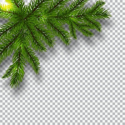 EPS 해외이미지 나무 전통 디자인 실루엣 백그라운드 크리스마스 일러스트 자연 휴가 새로움 기념 프레임 세포 그림자 목재 장식 축제 나뭇가지 인사 소나무 신용카드 투명 연도 심볼 활 새장 뼈대 상록수 침엽수 전나무 고립 가문비나무 현실 해외일러스트 식물 기념일 컨셉 재료 촬영기법 금융 예절 생태계 케이지 파일형식 벡터 이미지허브