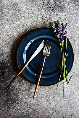 포토 JPG 해외이미지 식기 접시 꽃 음식 백그라운드 컨셉 꽃무늬 탁자 사람없음 여름 세트 수건 저녁식사 바위 시골 도자기 은색 만족 냅킨 라벤더 설정 카피스페이스 해외포토 식물 계절 감정 컬러 가구 무늬 위생용품 식사 공백 돌_바위 허브 파일형식 이미지허브