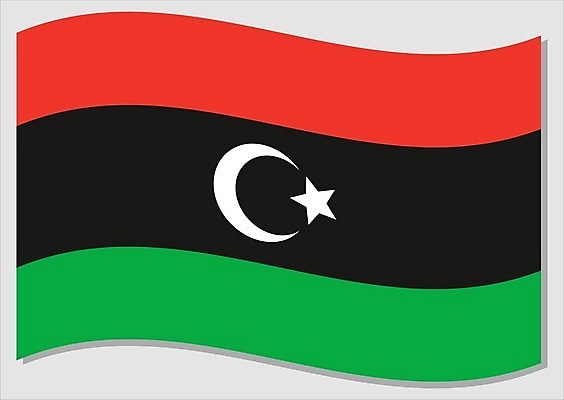 EPS 해외이미지 전통 디자인 배너 별 문화 물결 여행 일러스트 바람 그래픽 빨간색 초록색 검은색 줄무늬 손상 자유 달 흰색 깃발 역사 심볼 사인 웨이브 애국심 독립 잔물결 전국 정부 지리 해외일러스트 자연요소 컬러 컨셉 무늬 날씨 파일형식 벡터 이미지허브